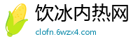 饮冰内热网